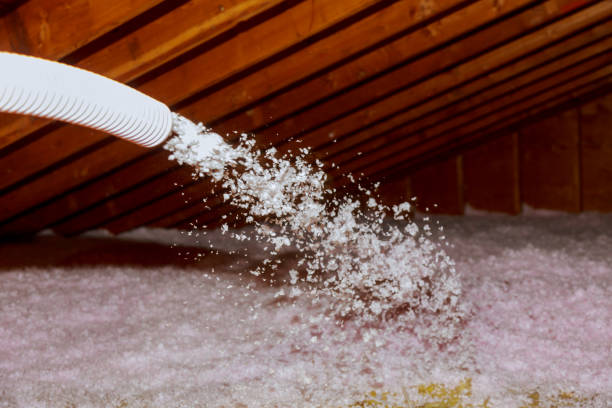 Best Insulation Air Sealing  in Catalina, AZ